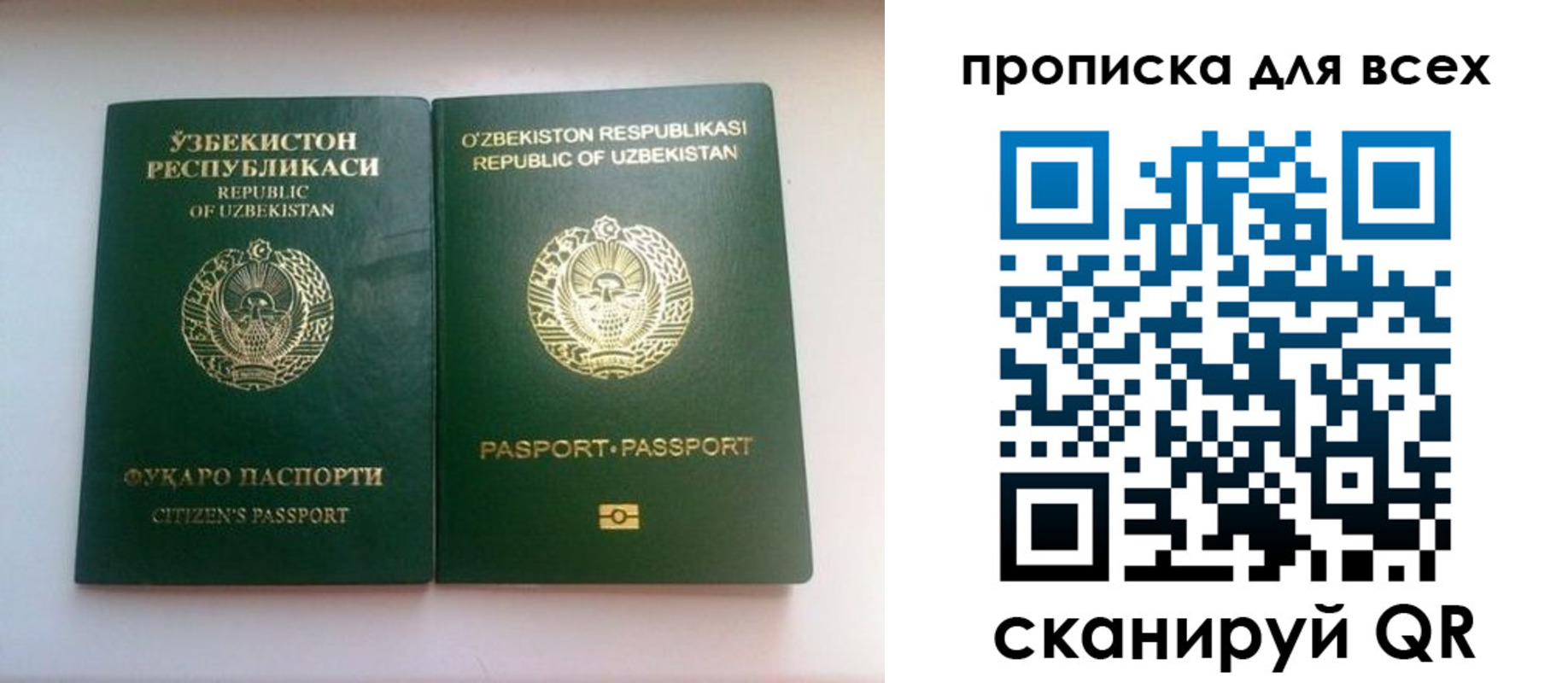 прописка для школы в Миньяре